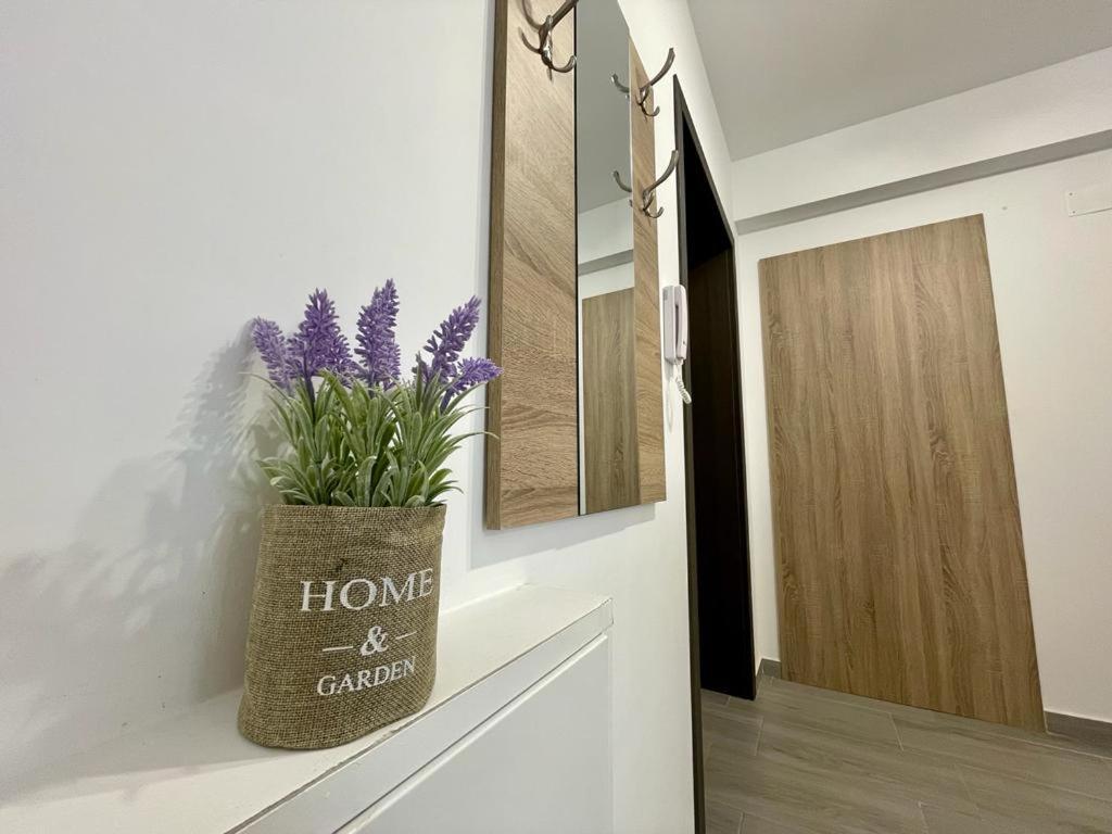 Belvedere Apartments ブカレスト エクステリア 写真